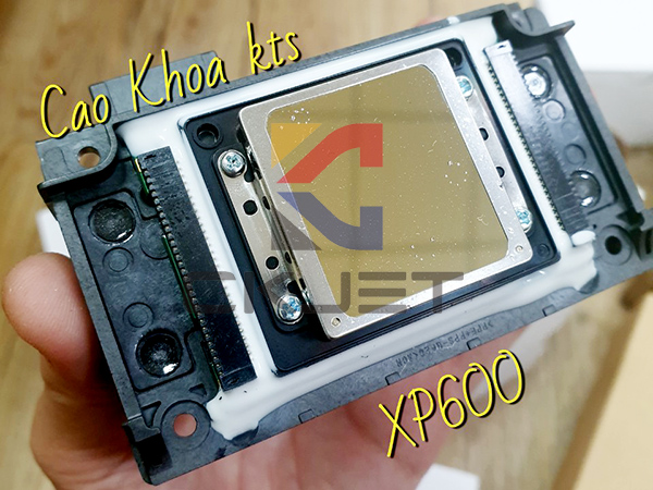 Đầu phun Epson XP600 cung cấp tốc độ in ấn ưu việt