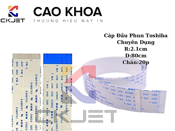 Cáp Đầu Phun Máy In Toshiba (D80cm, R2.1cm, Chân 20P) 2