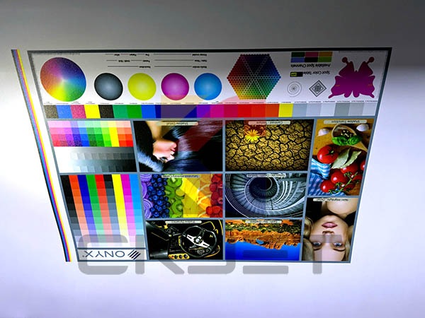 Lắp máy in UV 6M6 TH 6800 băng tải ray từ ở Gò Vấp TPHCM 4543