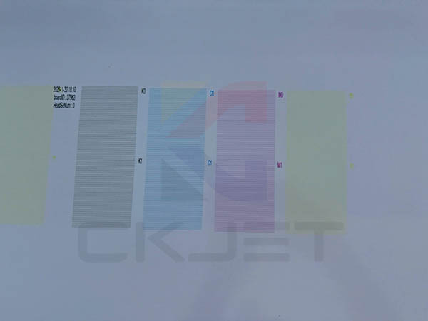 Lắp máy in UV 6M6 TH 6800 băng tải ray từ ở Gò Vấp TPHCM 54543