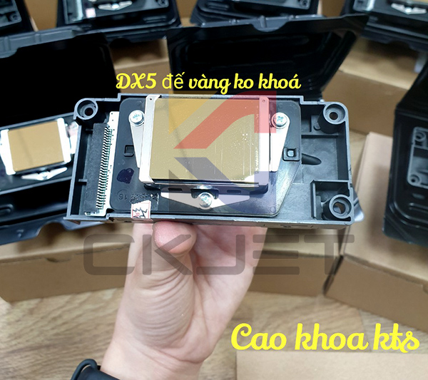 Đầu phun DX5 đế vàng tại Máy In Cao Khoa