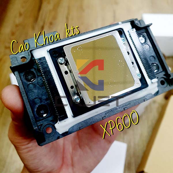 Máy in Cao Khoa phân phối đầu phun XP600