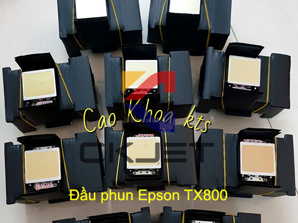 Máy In UV Cao Khoa phân phối đầu phun Epson TX800